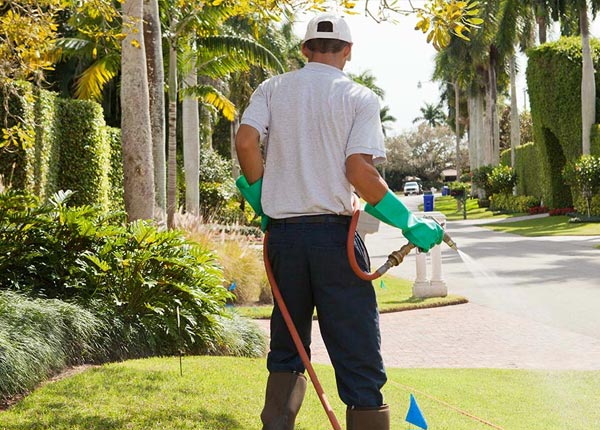 About Hayden ID Pest Control Pros